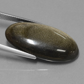 22,94 ctw natürlicher Gold Obsidian, Oval Schliff, Lichtundurchlässig
