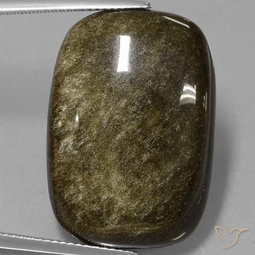 25.46ct Natürlicher Schwarz mit Goldglanz Obsidian, Kissen, Lichtundurchlässig