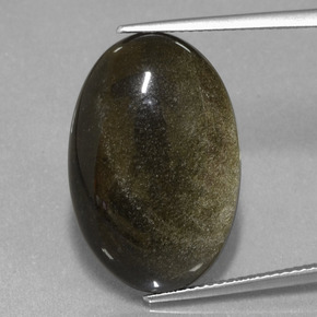 15,30 ctw natürlicher Gold Obsidian, Oval Schliff, Lichtundurchlässig