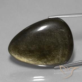 9,17 ctw natürlicher Schwarz mit Goldglanz Obsidian, Trillion, Lichtundurchlässig