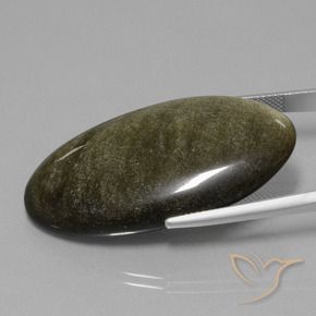 9,17 ctw natürlicher Schwarz mit Goldglanz Obsidian, Oval, Lichtundurchlässig