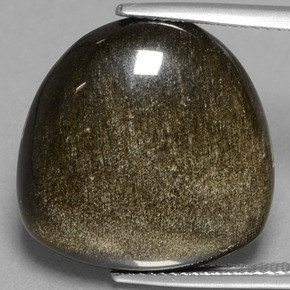 17,56 ctw natürlicher goldener Obsidian, Fantasieschliff, Lichtundurchlässig