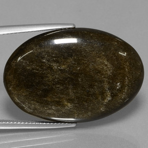 26,69 ctw natürlicher Gold Obsidian, Oval Schliff, Lichtundurchlässig