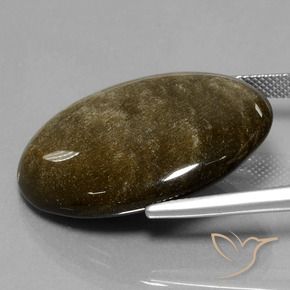 9,17 ctw natürlicher Schwarz mit Goldglanz Obsidian, Oval, Lichtundurchlässig