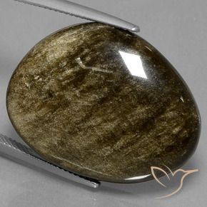 9,17 ctw natürlicher Schwarz mit Goldglanz Obsidian, Fantasie, Lichtundurchlässig