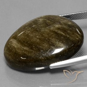 9,17 ctw natürlicher Schwarz mit Goldglanz Obsidian, Fantasie, Lichtundurchlässig