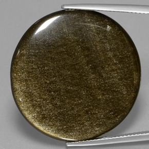 28,16 ctw natürlicher Gold Obsidian, Rundschliff, Lichtundurchlässig