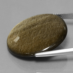 28,16 ctw natürlicher Gold Obsidian, Rundschliff, Lichtundurchlässig
