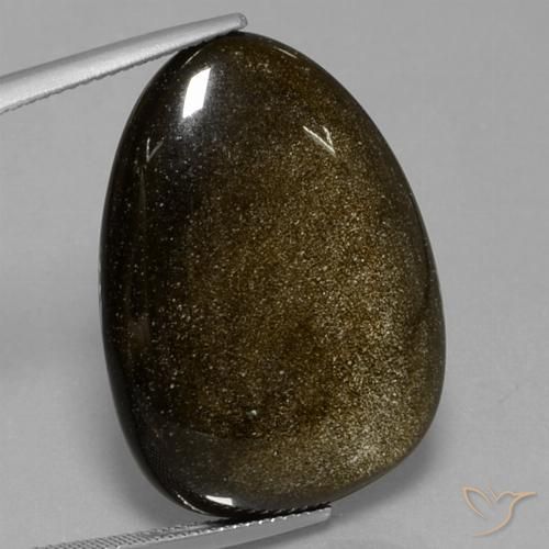 29.28ct Natürlicher Schwarz mit Goldglanz Obsidian, Fantasie, Lichtundurchlässig