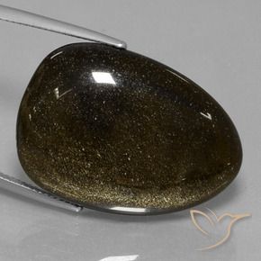 9,17 ctw natürlicher Schwarz mit Goldglanz Obsidian, Fantasie, Lichtundurchlässig
