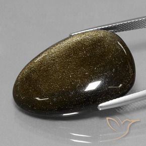 9,17 ctw natürlicher Schwarz mit Goldglanz Obsidian, Fantasie, Lichtundurchlässig