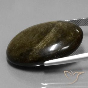 9,17 ctw natürlicher Schwarz mit Goldglanz Obsidian, Oval, Lichtundurchlässig