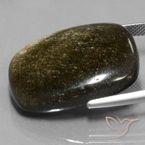 9,17 ctw natürlicher Schwarz mit Goldglanz Obsidian, Kissen, Lichtundurchlässig