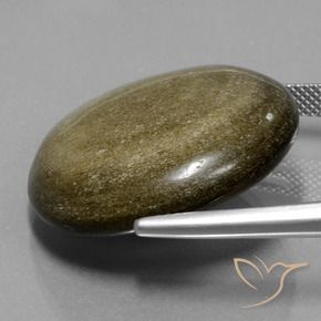 9,17 ctw natürlicher Schwarz mit Goldglanz Obsidian, Rund Schliff, Lichtundurchlässig