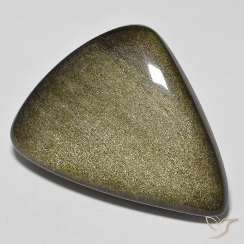 24.46ct Natürlicher Schwarz mit Goldglanz Obsidian, Fantasie, Lichtundurchlässig