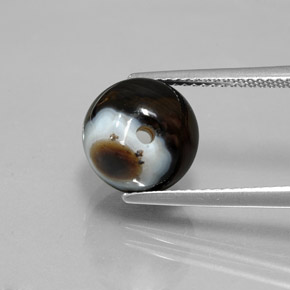 9,17 ctw natürlicher Schwarz Onyx, Sphäre / Kugel, Lichtundurchlässig