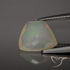 9,17 ctw natürlicher Mehrfarbig Opal, Fantasie, Transparent / Lichtdurchlässig