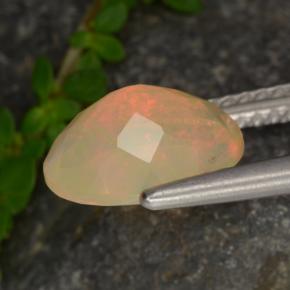 1,37 ctw natürlicher mehrfarbiger Opal, Oval Schliff, Lichtdurchlässig