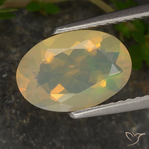 1.46ct Natürlicher Mehrfarbig Opal, Oval, Transparent