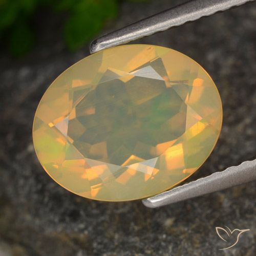 1.54ct Natürlicher Mehrfarbig Opal, Oval, Transparent