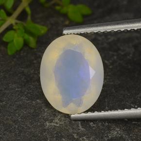1,35 ctw natürlicher mehrfarbiger Opal, Oval Schliff, Lichtdurchlässig