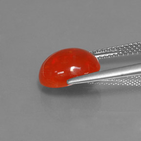 2,50 ctw natürlicher mehrfarbiger Opal, Transparent, Transparent / Lichtdurchlässig