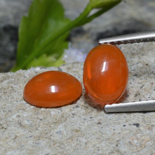 1.37ctw Natürlicher tiefrötlich-orange Opal, Oval, Transparent