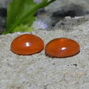 1.37 ct natürliche tiefrötlich-orange Opal-Edelsteine, Oval, Transparent
