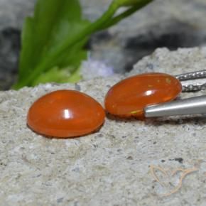1.37 ct natürliche tiefrötlich-orange Opal-Edelsteine, Oval, Transparent