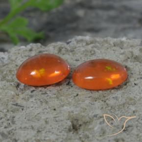 1.41 ct natürliche tiefrötlich-orange Opal-Edelsteine, Oval, Transparent