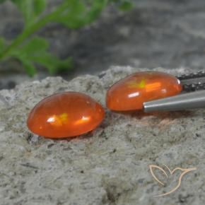 1.41 ct natürliche tiefrötlich-orange Opal-Edelsteine, Oval, Transparent