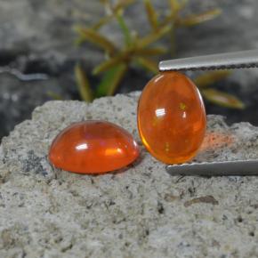1.35 ct natürliche Orange Opal-Edelsteine, Oval Schliff, Transparent