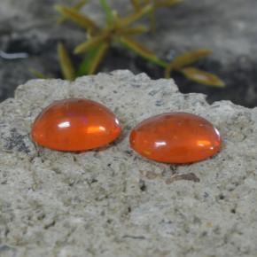 1.35 ct natürliche Orange Opal-Edelsteine, Oval Schliff, Transparent