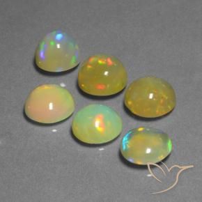 11.36 ct natürliche Mehrfarbig Opal-Edelsteine, Runden, Transparent