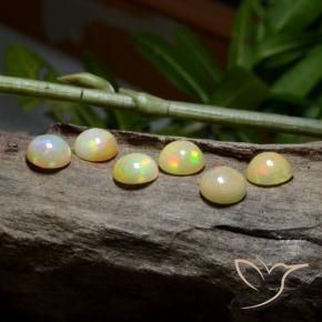 8.15 ct natürliche Mehrfarbig Opal-Edelsteine, Runden, Lichtdurchlässig