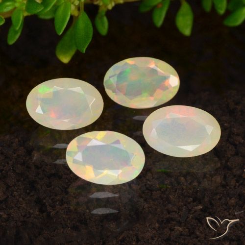 1.23ctw Natürlicher Mehrfarbig Opal, Oval, Transparent