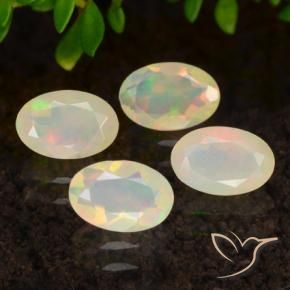 1.23 ct natürliche Mehrfarbig Opal-Edelsteine, Oval, Transparent