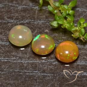 1.34 ct natürliche Mehrfarbig Opal-Edelsteine, Runden, Lichtdurchlässig