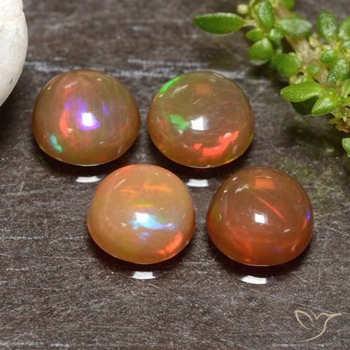 1.95ctw Natürlicher Mehrfarbig Opal, Runden, Lichtdurchlässig
