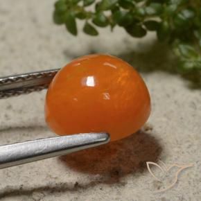 9,17 ctw natürlicher Feuerorange Opal, Runden, Lichtdurchlässig