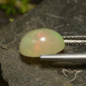 9,17 ctw natürlicher Mehrfarbig Opal, Oval, Lichtdurchlässig