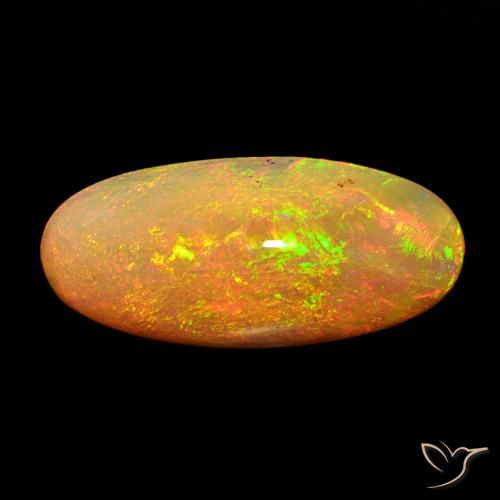 13.59ct Mehrfarbig Opal, Oval, Lichtundurchlässig