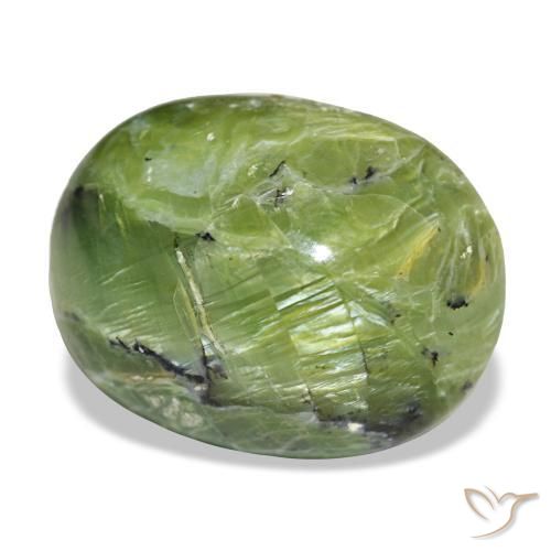 14,55 ctw natürlicher grüner Opal, Oval Schliff, Lichtundurchlässig