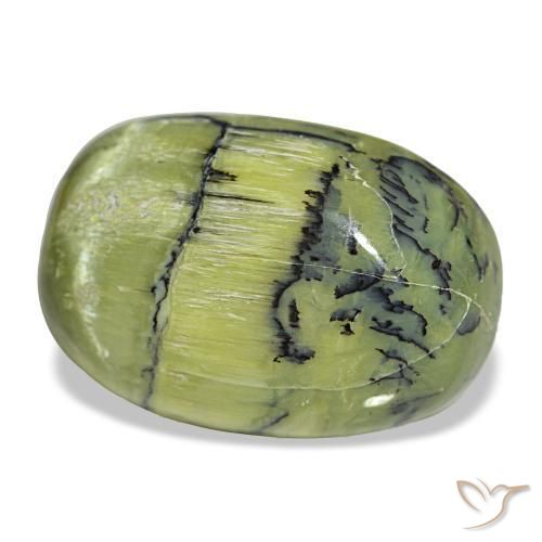 21,84 ctw natürlicher grüner Opal, Oval Schliff, Lichtundurchlässig