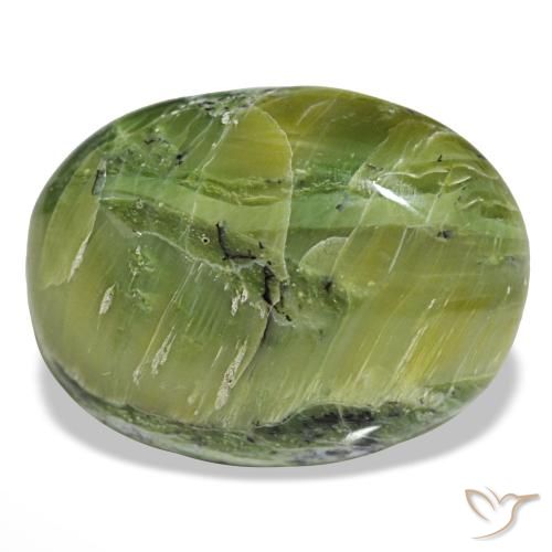 14,58 ctw natürlicher grüner Opal, Oval Schliff, Lichtundurchlässig