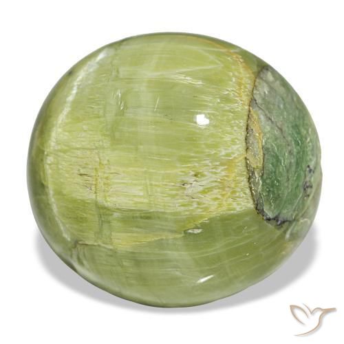 17,84 ctw natürlicher grüner Opal, Oval Schliff, Lichtundurchlässig