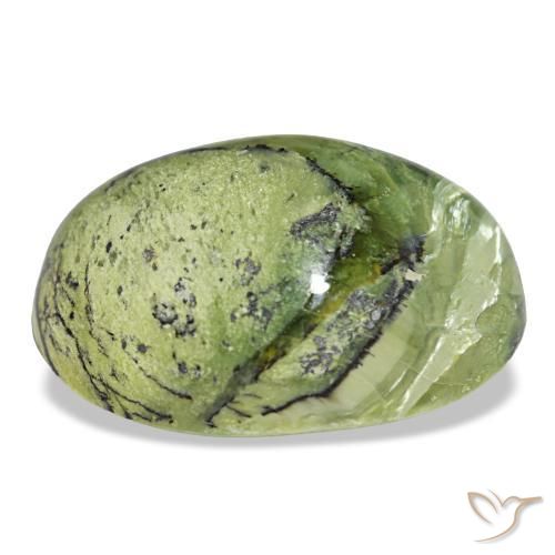 15,89 ctw natürlicher grüner Opal, Oval Schliff, Lichtundurchlässig