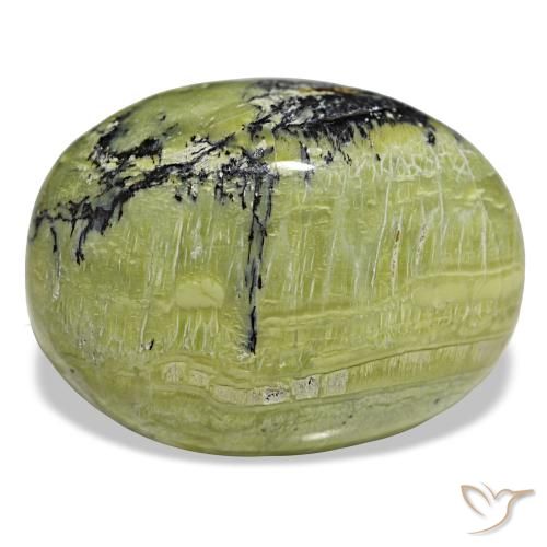 48,21 ctw natürlicher grüner Opal, Oval Schliff, Lichtundurchlässig