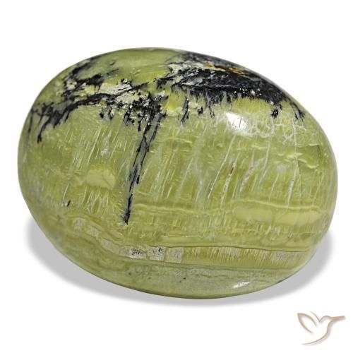 48,21 ctw natürlicher grüner Opal, Oval Schliff, Lichtundurchlässig