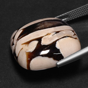 9,17 ctw natürlicher Mehrfarbig Erdnussholz Jaspis, Kissenschliff, Lichtundurchlässig